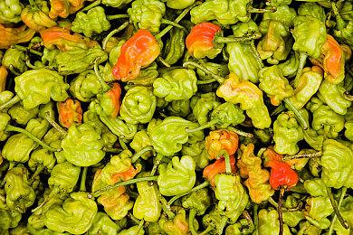 《审判之逝：湮灭的记忆》青春剧玩法及迷你游戏演示